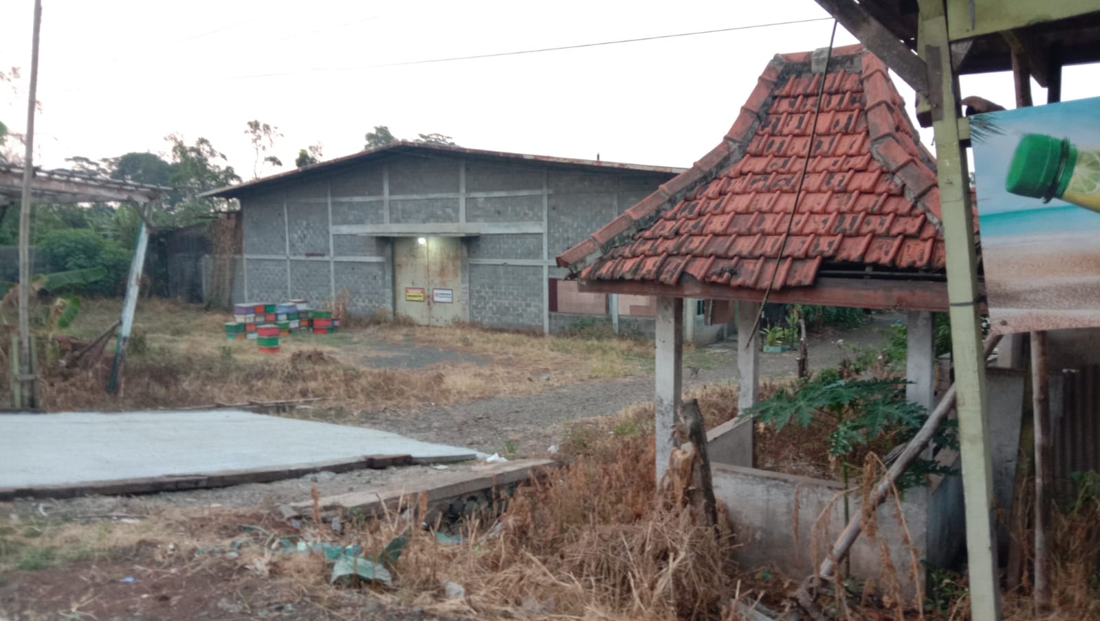 GUDANG PENANGKARAN ANJING : Ini lokasi bekas pabrik sumpit di desa Kutosari Gringsing yang dijadikan tempat penangkaran anjing dan ternak ayam.