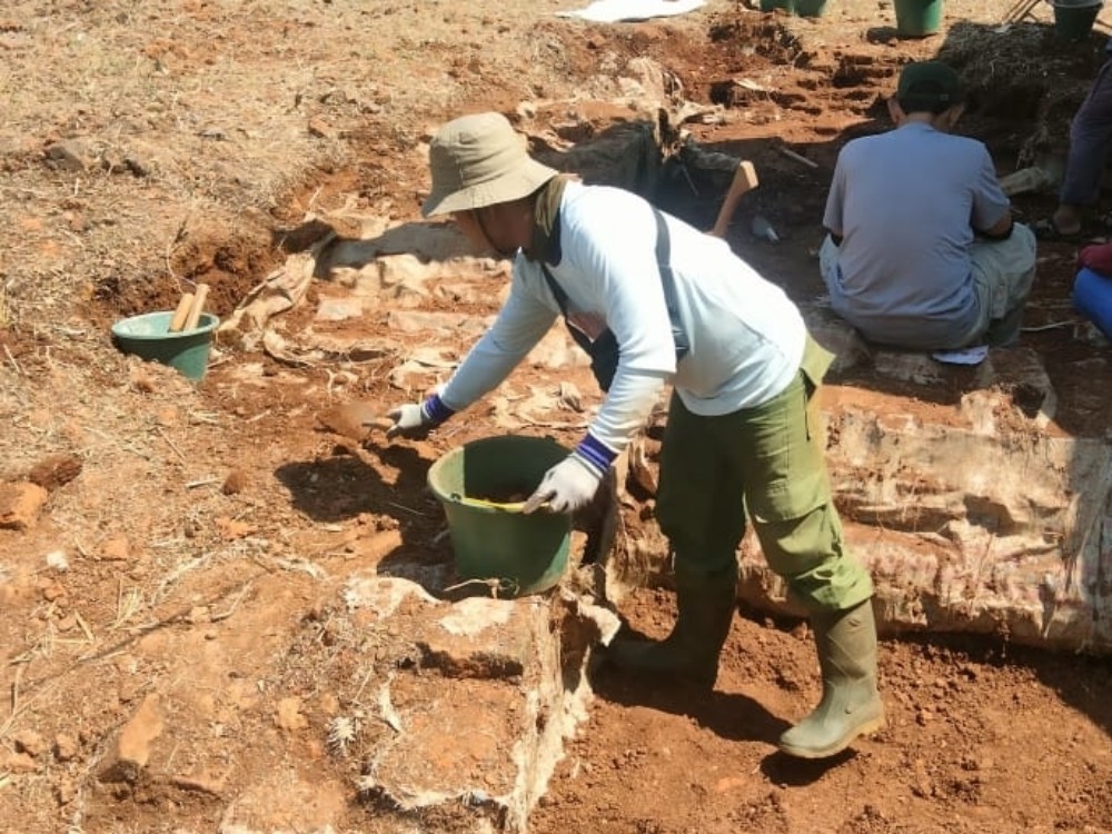 EKSKAVASI: Proses penggalian candi di area lahan Kawasan Industri Terpadu Batang (KITB) di Kecamatan Gringsing. (Istimewa)