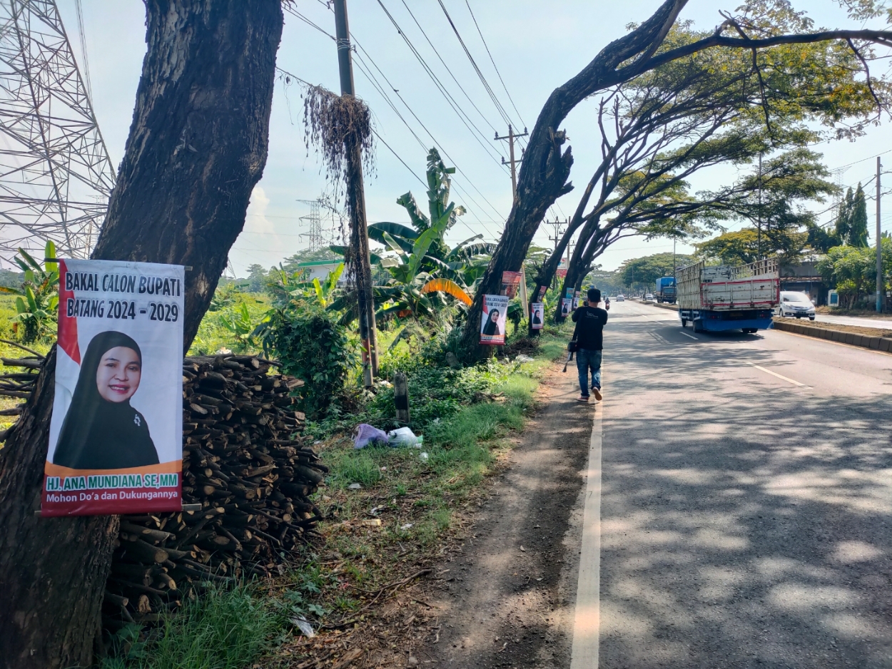 LANGGAR PERDA: Poster-poster bakal calon Bupati Batang yang terpasang di pohon sepanjang jalan Pantura Batang. (Riyan Fadli Jawa Pos Metro Pekalongan)