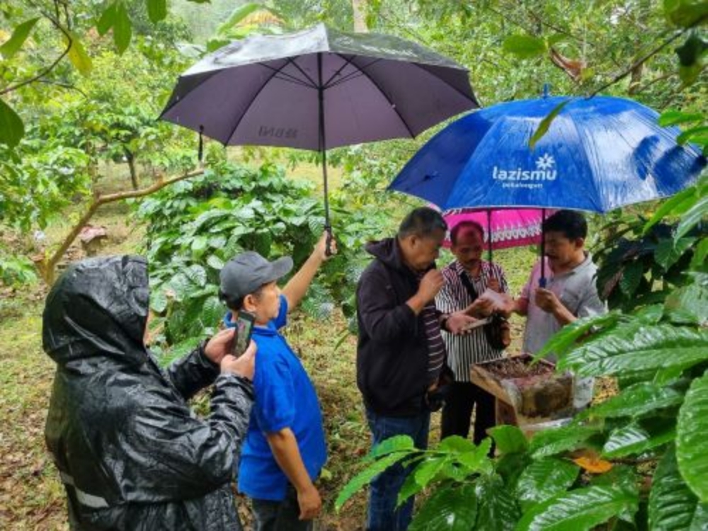 BUDIDAYA: Tim Magister Penyuluhan Pertanian Unsoed saat observasi lapangan di tempat budidaya lebah madu klanceng di Desa Mendolo, Kecamatan Lebakbarang, Kabupaten Pekalongan, baru-baru ini.