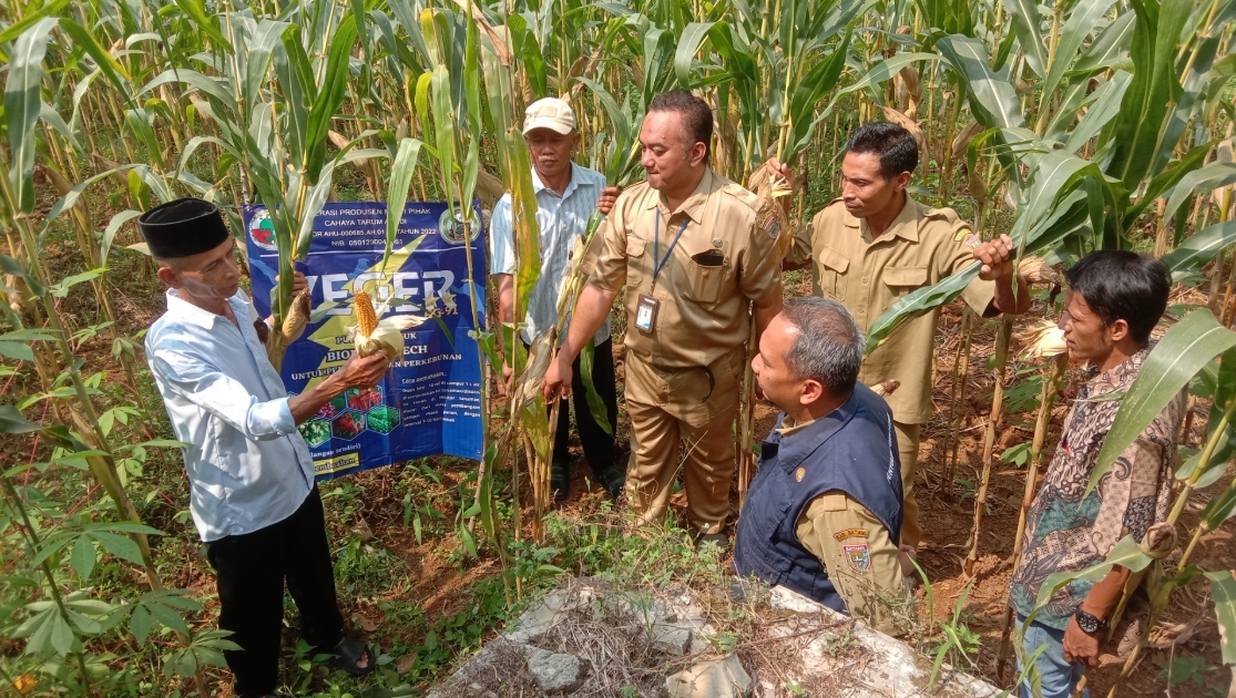 BERBAGI ILMU: Petani dari Kecamatan Gringsing berbagi ilmu kepada petani Pecalungan tentang pengolahan lahan yang baik dan ramah lingkungan. (istimewa)