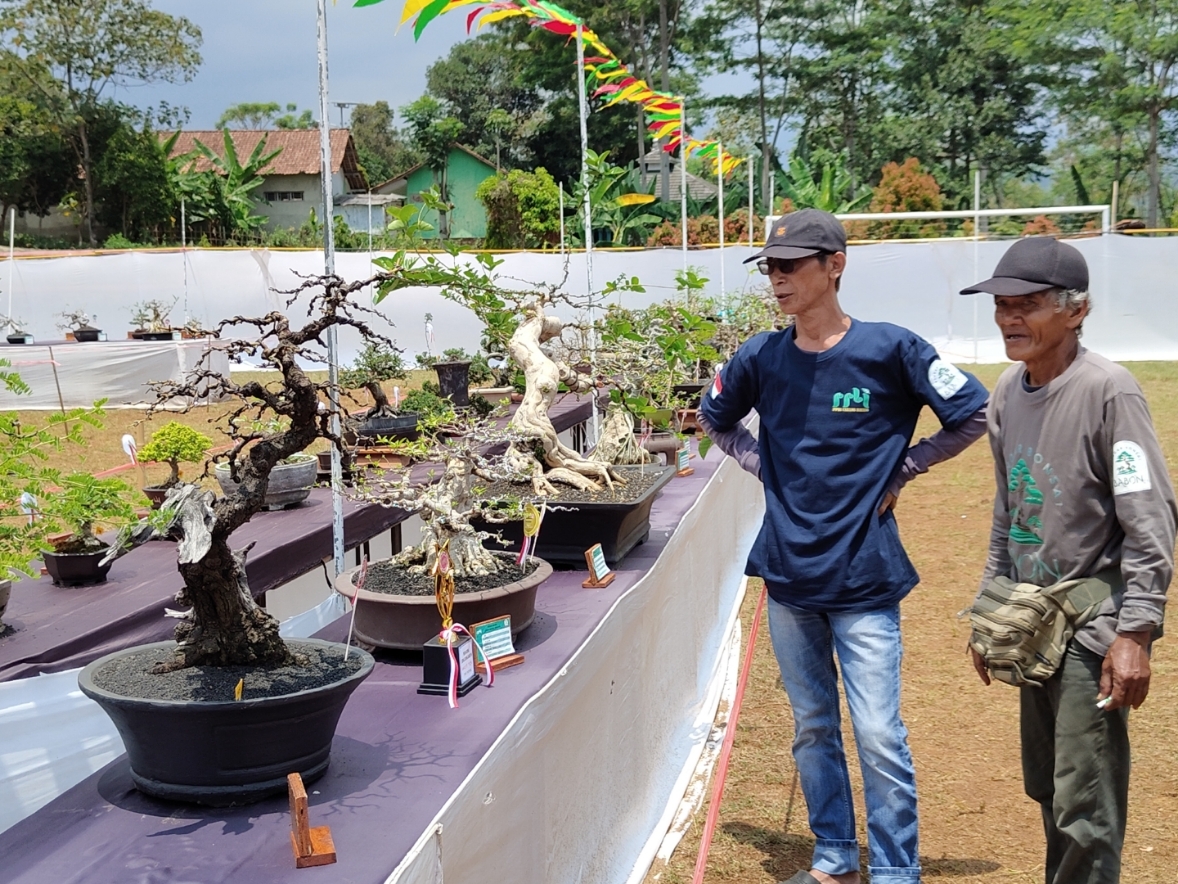 PAMERAN: Penunjang sedang melihat keindahan tanaman bonsai yang dipamerkan di Kecamatan Bandar.