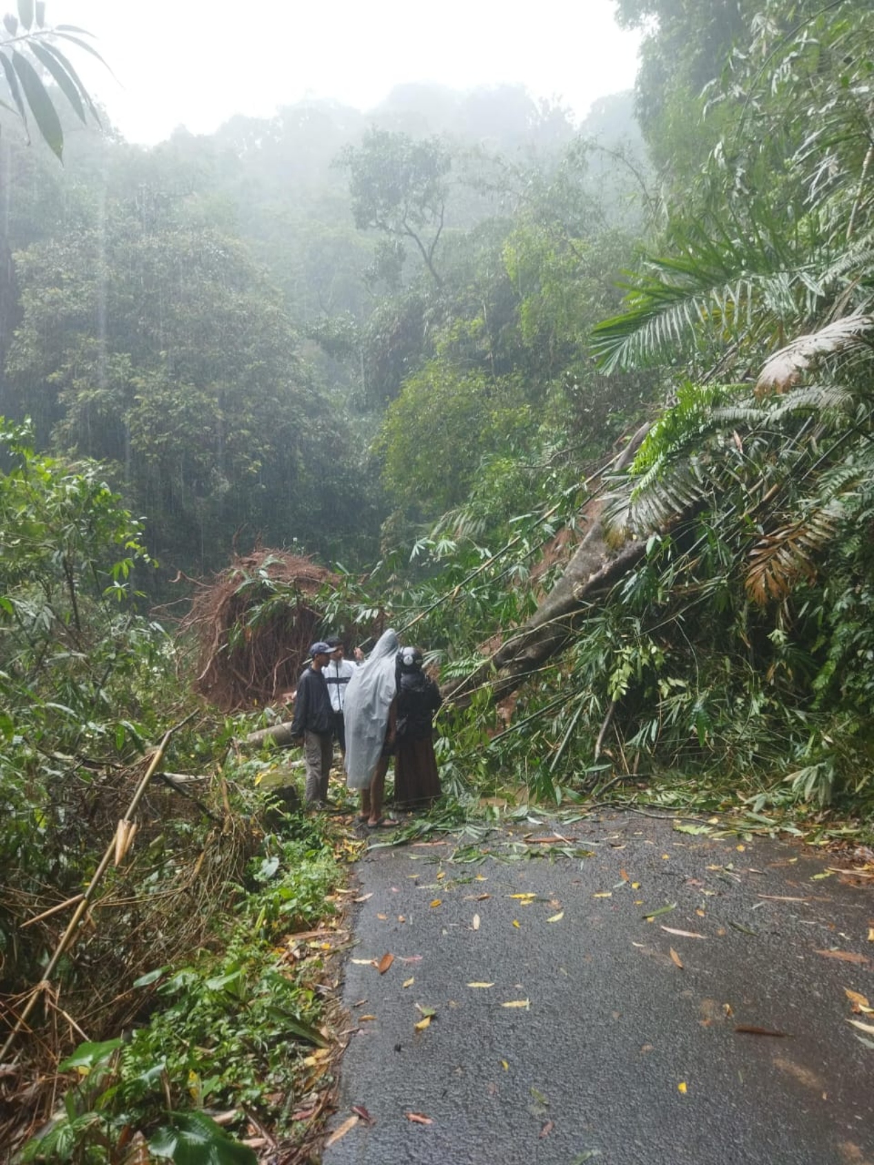 LONGSOR: Kondisi di lokasi sesaat setelah kejadian longsor di jalur Kroyakan, Kecamatan Talun, Kabupaten Pekalongan, Minggu (3/11/2024).