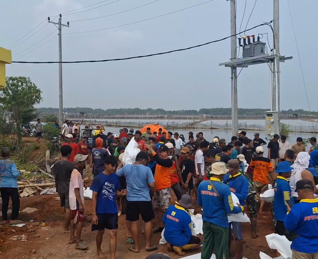 JEBOL: Warga bersama pemerintah daerah, TNI, dan Polri masih terus gotong royong menutup jebolan tanggul sungai Bremi di Desa Jeruksari, Kabupaten Pekalongan, Senin (25/11/2024).