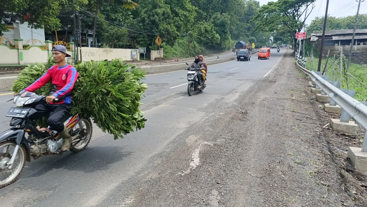 LOBANG: Kondisi salah satu titik jalan Pantura Kabupaten Batang yang mulai dipenuhi lobang.