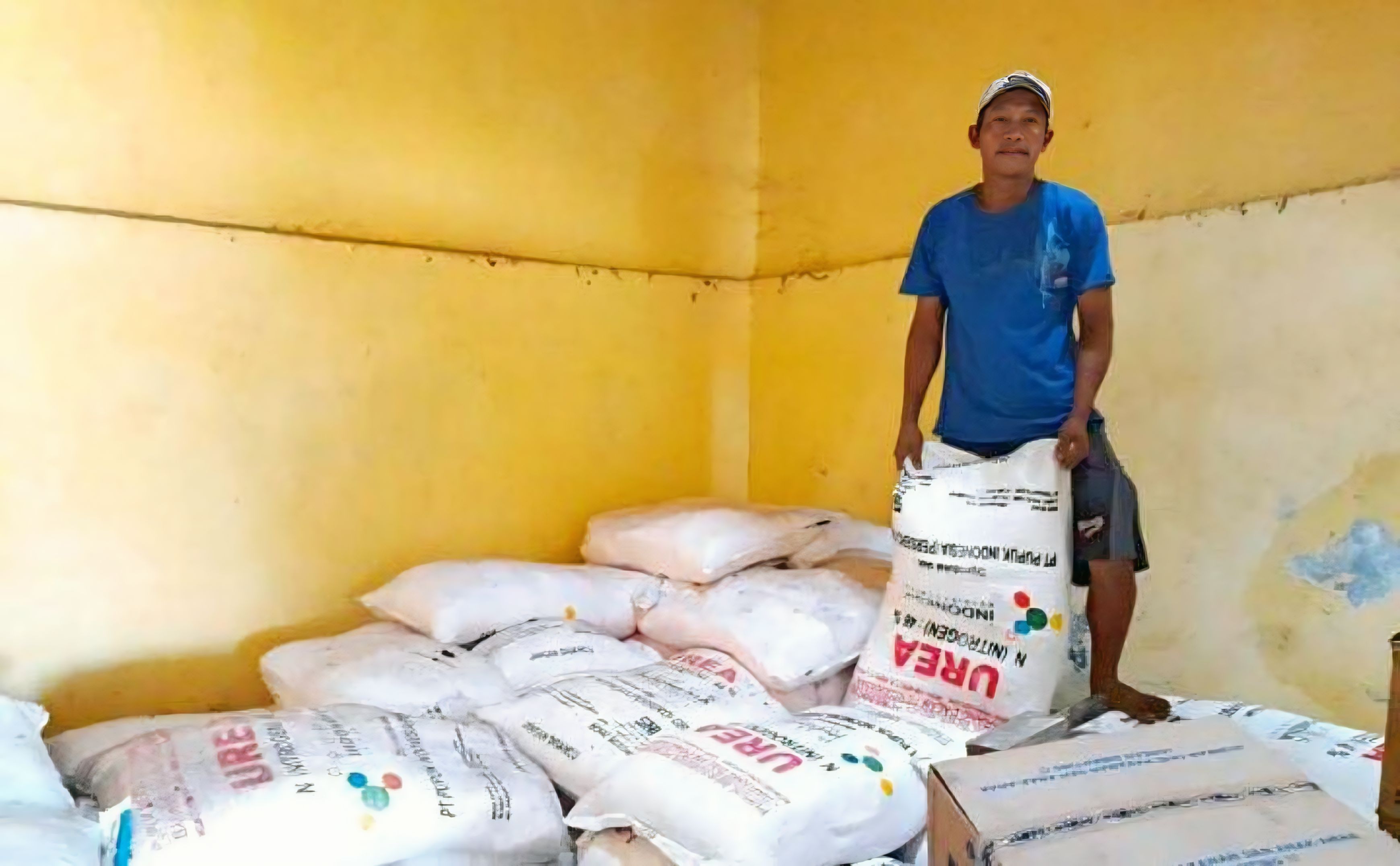 ANGKUT - Pekerja saat akan angkut pupuk subsidi di gudang, untuk didistribusikan ke petani.