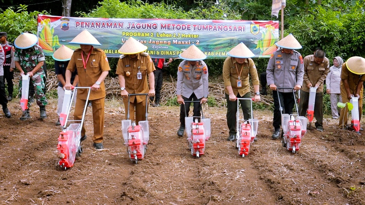 TANAM JAGUNG - Secara simbolis, Kapolres Pemalang bersama Bupati Pemalang dan perwakilan terkait, secara simbolis menanam jagung dengan alat khusus, pada Rabu (12/3/2025).