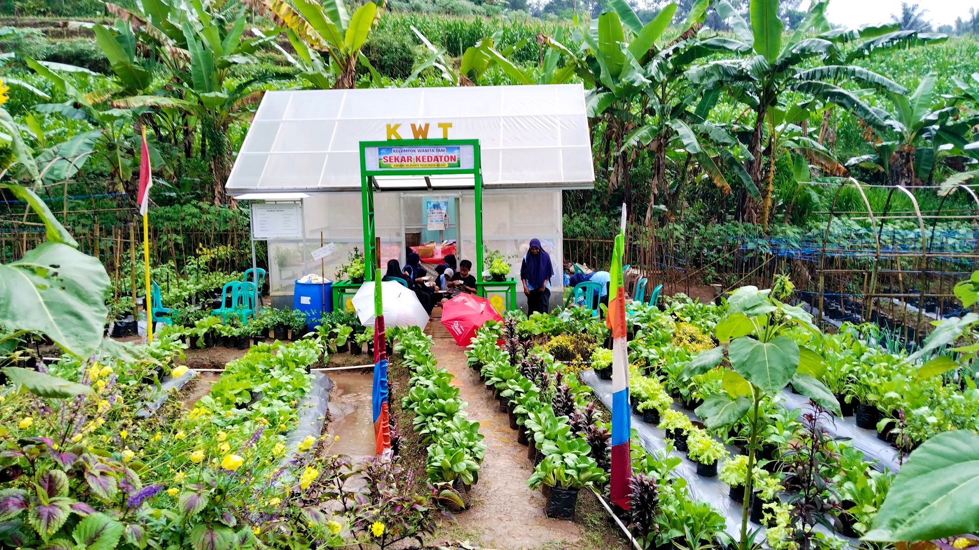 WISATA - Di Desa Wisata Siwarak pegunjung bisa belajar hortikultura langsung dari alam, memancing, jalan-jalan di taman bunga hingga sekedar bersantai.