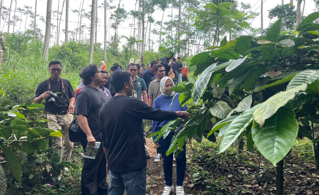 TINJAUAN: Ketua TP PKK Batang Faelasufa Faiz melihat perkebunan kopi bersama para petani kopi.