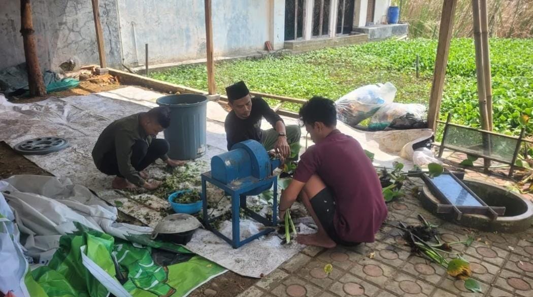 OLAH ECENG GONDOK - Warga Padukuhan Kraton Pekalongan Barat saat olah eceng gondok jadi pupuk organik.
