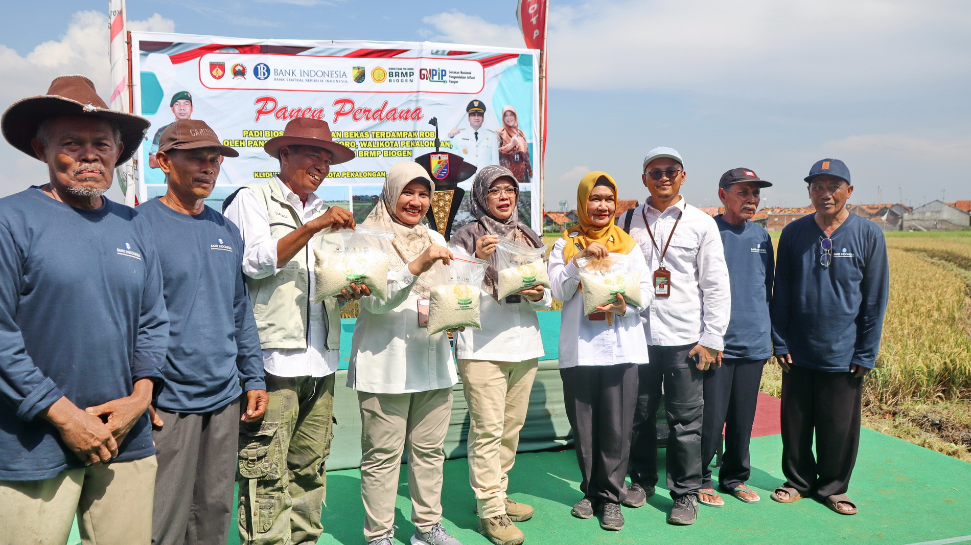 TUNJUKKAN - Petani Degayu Pekalongan Utara, bersama Kepala KPw BI Tegal Bimala, Kepala Dinperpa Kota Pekalongan Lili dan Plh BI Provinsi Jateng tunjukkan beras Biosalin hasil panen, Rabu (14/5/2025).