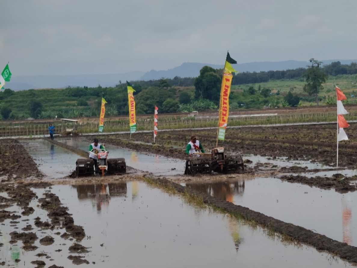 SERU: Peserta lomba adu ketangkasan traktor sawah bertanding di tengah persawahan.