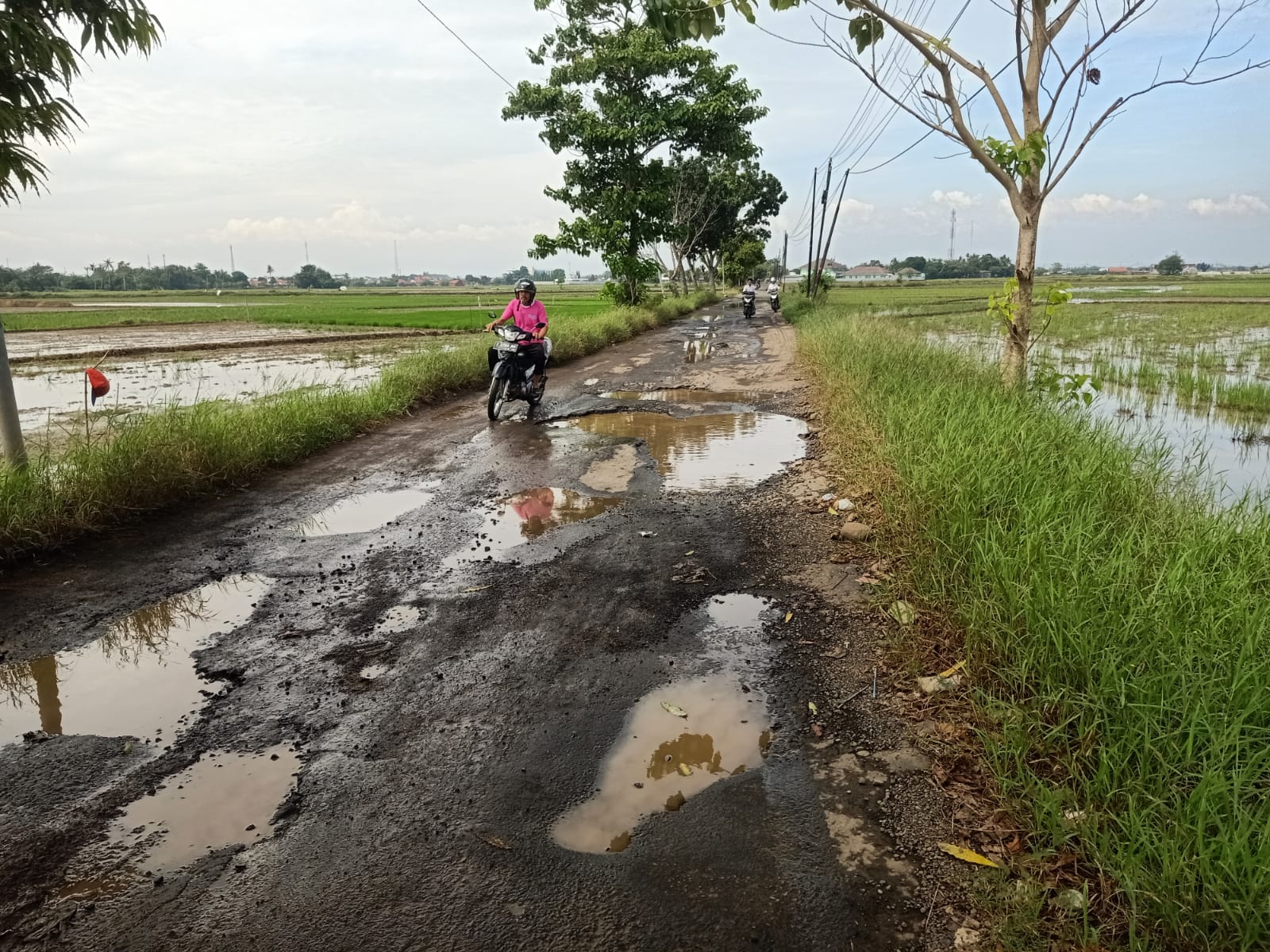 SEGERA DIPERBAIKI: Kondisi jalan rusak Desa Werdi (gili tengah), Kecamatan Wonokerto, Kabupaten Pekalongan, Selasa (27/5/2025). Jalan ini akan segera diperbaiki Pemkab Pekalongan.
