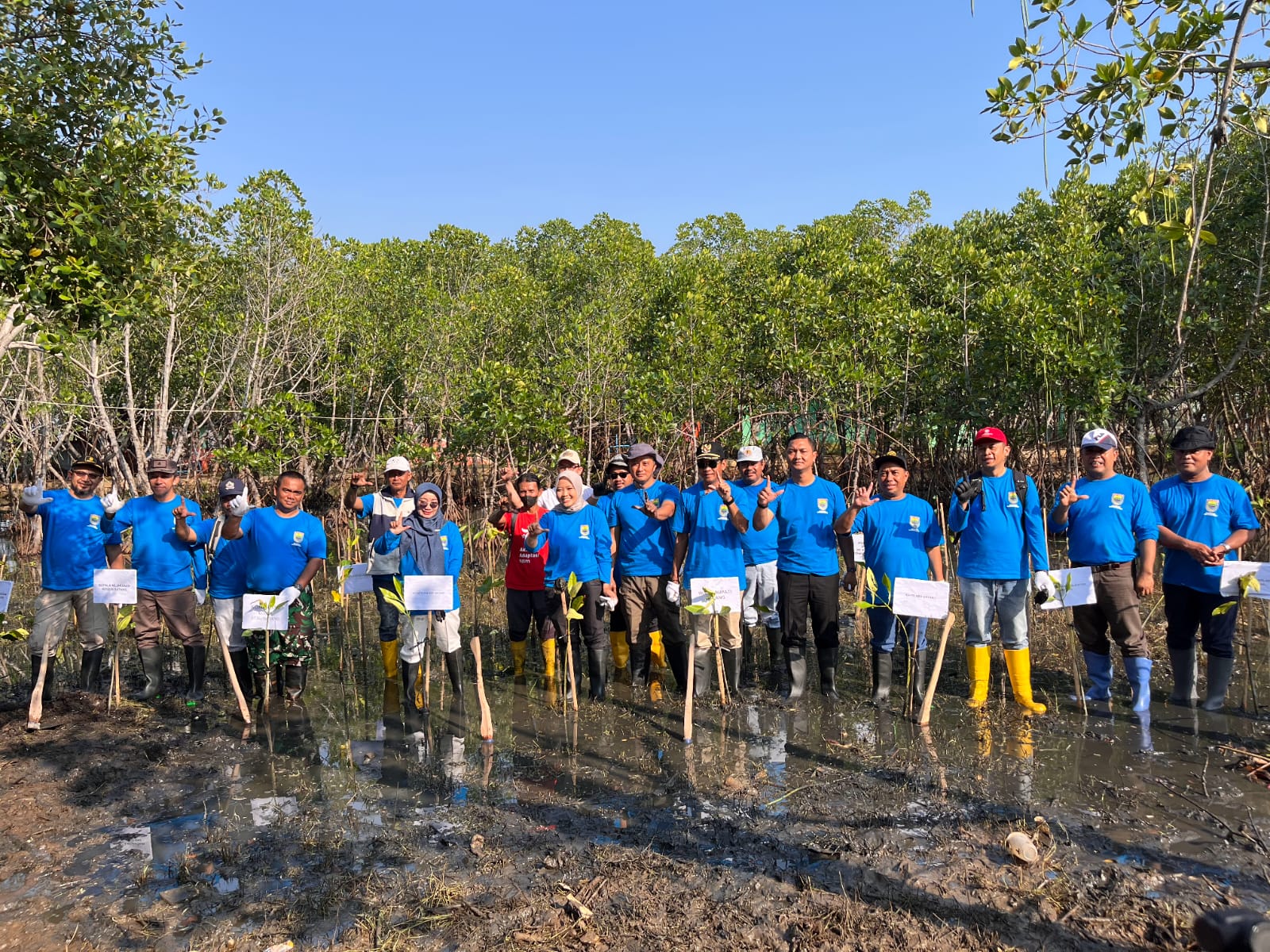 CEGAH ABRASI: Penanaman mangrove secara bersama-sama di pesisir pantai Kabupaten Batang.