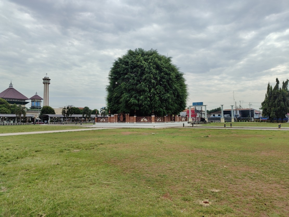 PENATAAN: Kondisi pohon beringin di Alun-Alun Batang sebelum dilakukan revitalisasi tahun ini.