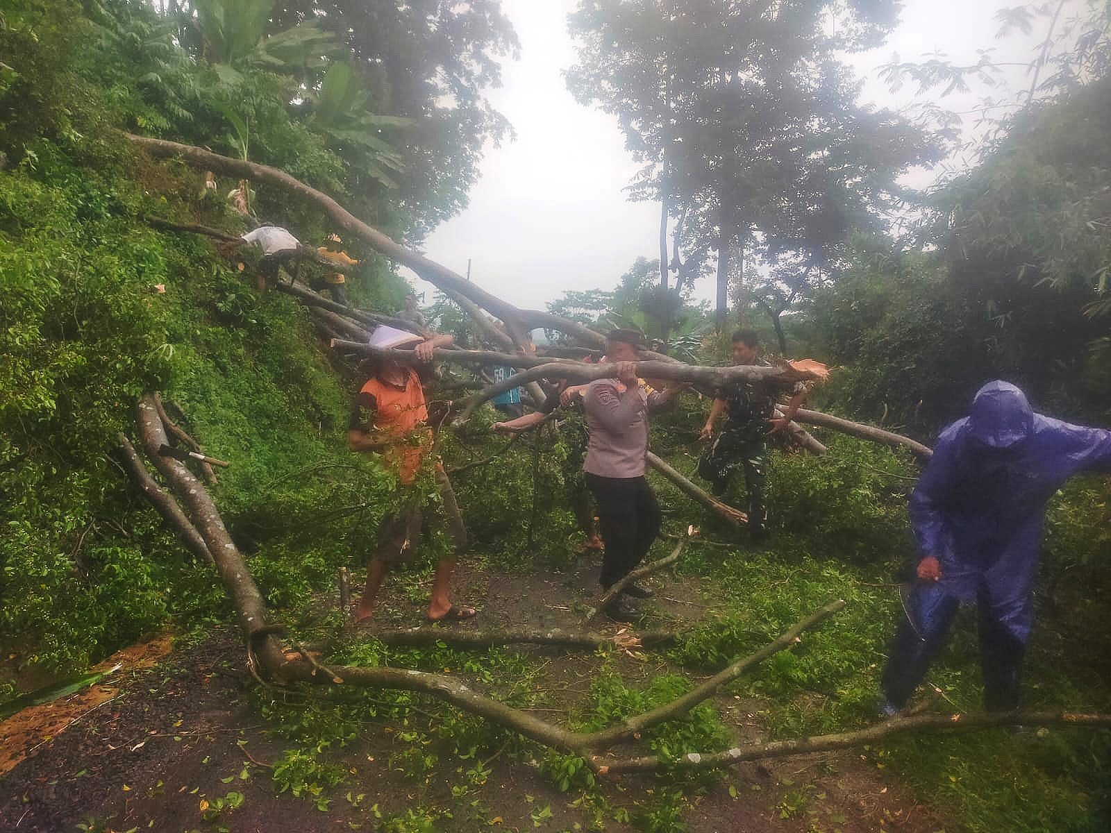 EVAKUASI: Proses evakuasi pohon tumbang di jalan masuk Dukuh Padurekso, Desa Legokkalong, Kecamatan Karanganyar, Kabupaten Pekalongan, Senin (7/7/2025).