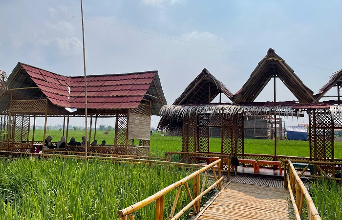 SUASANA KEDAI :  Suasana Kedai Piker Keri di tengah hamparan sawah dipadu dengan saung bambu, jembatan kayu, menjadi daya tarik tersendiri bagi pengunjung Senin (7/7/2025).