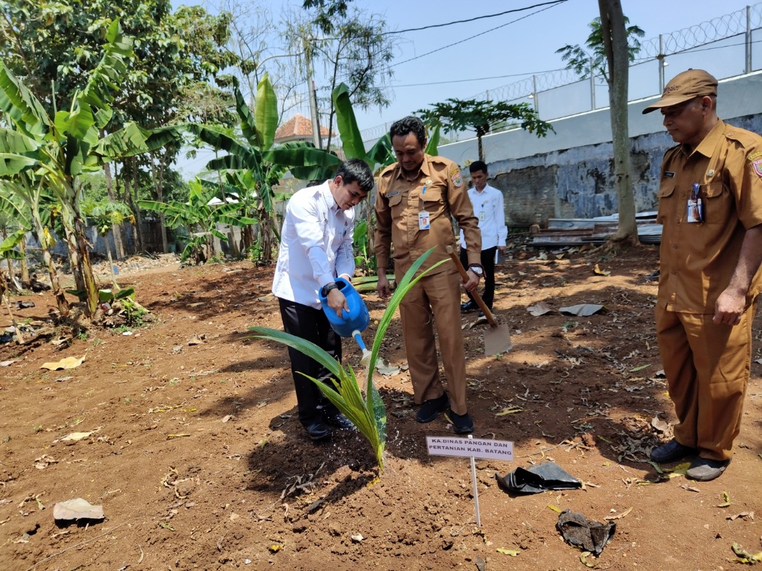PENANAMAN: Proses penanaman bibit pohon kelapa di area Lapas Batang.