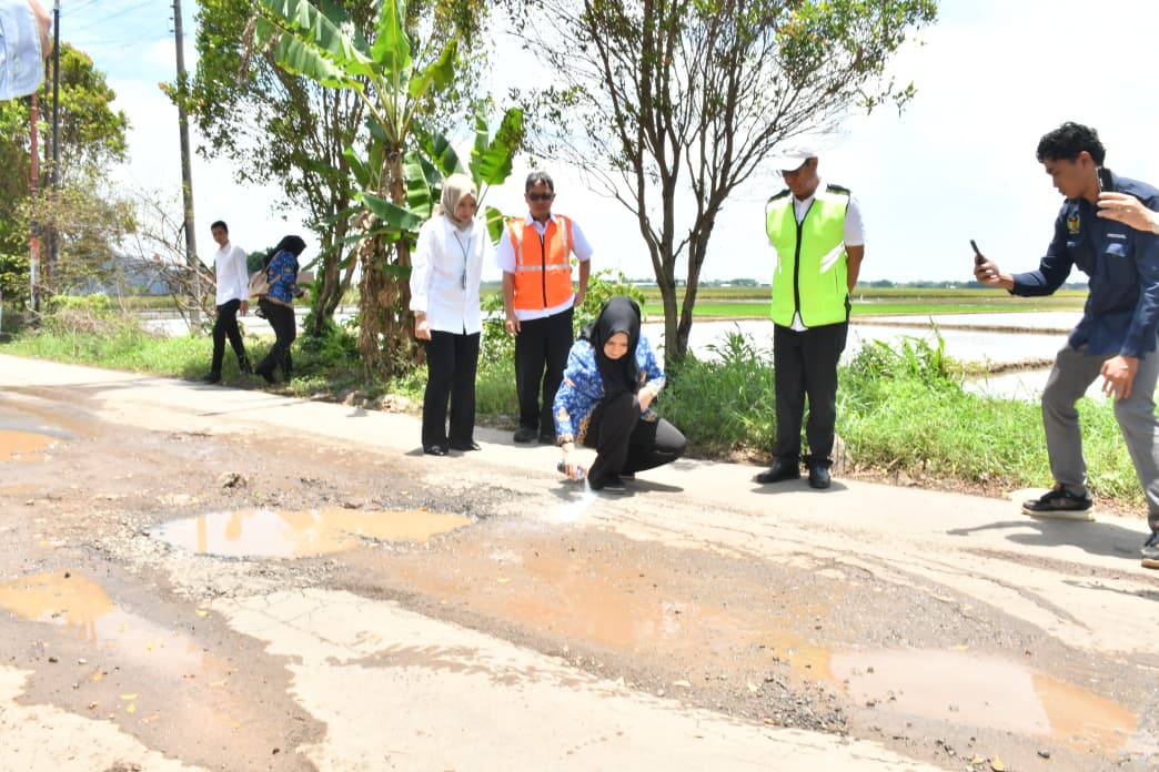 TINJAU JALAN: Bupati Pekalongan Fadia Arafiq ketika meninjau jalan rusak di ruas Krandon, Kecamatan Kesesi, Rabu (1/10/2025).