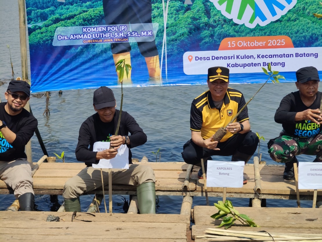 PENGHIJAUAN: Wakil Bupati Batang Suyono bersama Forkopimda saat menanam mangrove di lahan sawah terendam rob.