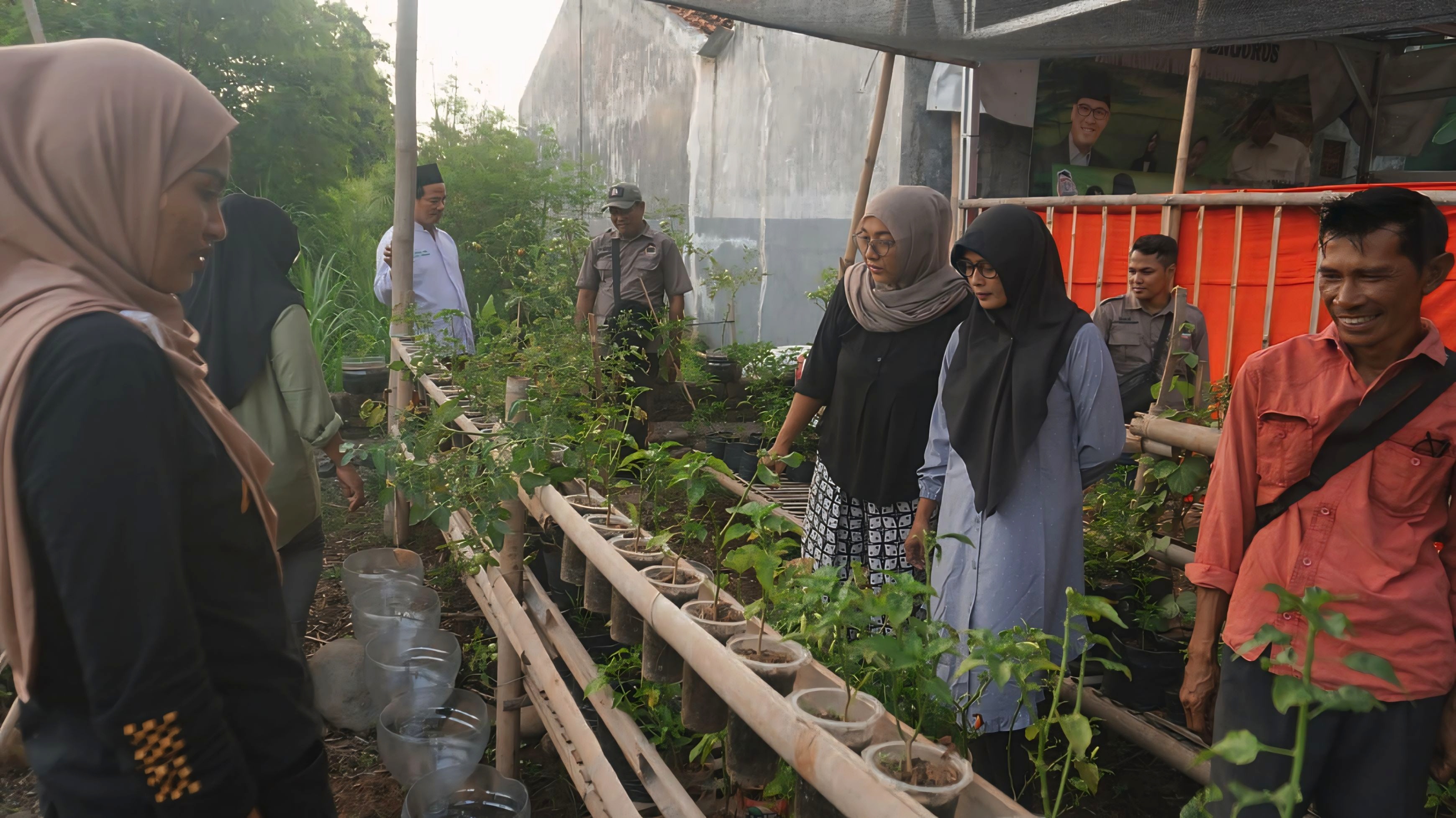 BERTANI - Salah satu urban farming di Kota Pekalongan yang sudah berhasil.