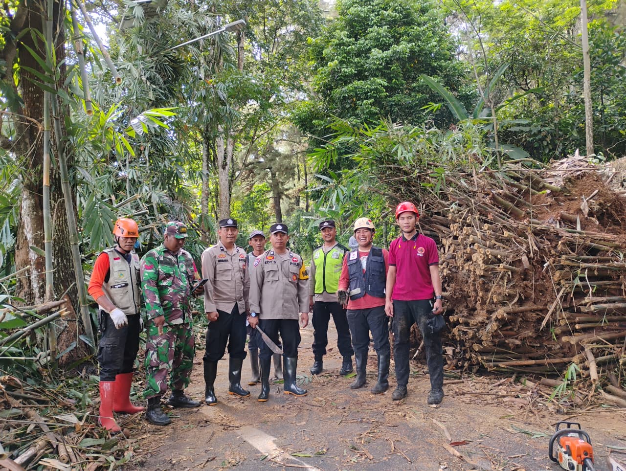 POHON TUMBANG: Tim gabungan usai berhasil mengevakuasi dapuran bambu tumbang di jalur Karanggondang-Lolong, Kabupaten Pekalongan.