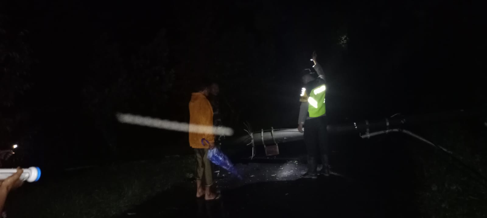 POHON TUMBANG: Kondisi di lokasi pohon tumbang Dukuh Kepuh, Desa Doro, Kecamatan Doro, saat peristiwa baru saja terjadi, Senin (10/11/2025) malam.