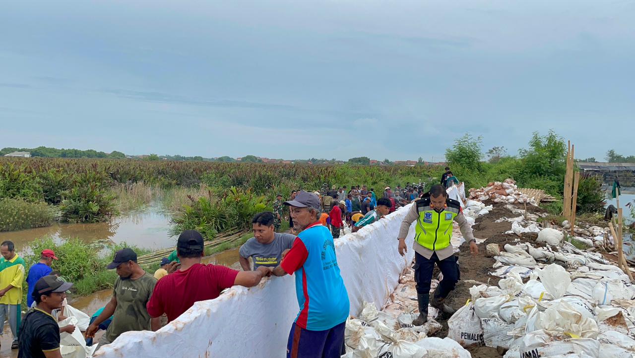 GOTONG ROYONG: Aparat kepolisian, TNI, dan warga berjibaku memperkuat tanggul sungai di perbatasan Desa Pecakaran dan Pesanggrahan, Kecamatan Wonokerto, Kabupaten Pekalongan, Jumat (14/11/2025).