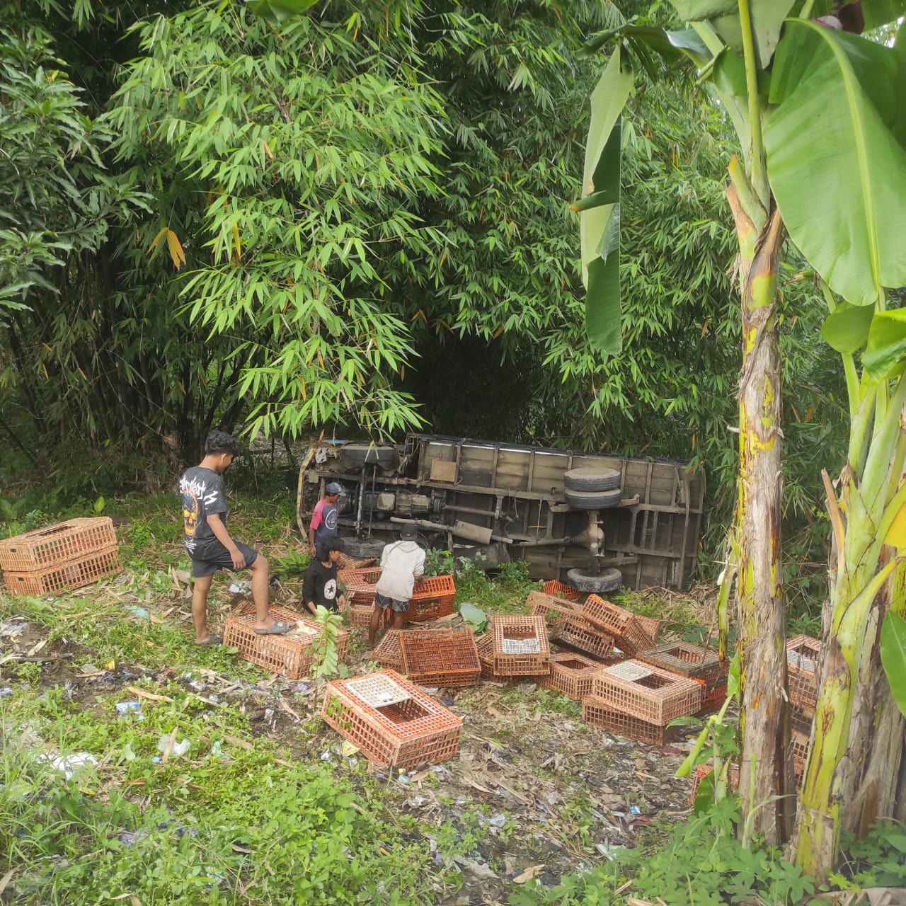 TERJUN: Mobil pengangkut ayam terjun ke jurang usai oleng karena pecah ban, di Desa Sidomulyo, Kecamatan Kesesi, Kabupaten Pekalongan, Sabtu (22/11/2025).
