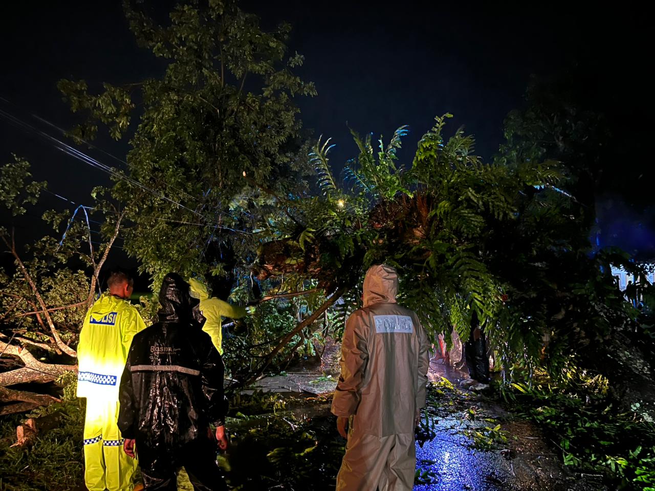 POHON TUMBANG: Suasana di lokasi ketika pohon tumbang belum dievakuasi, jalur Sragi-Bojong, Senin (22/12/2025) malam.