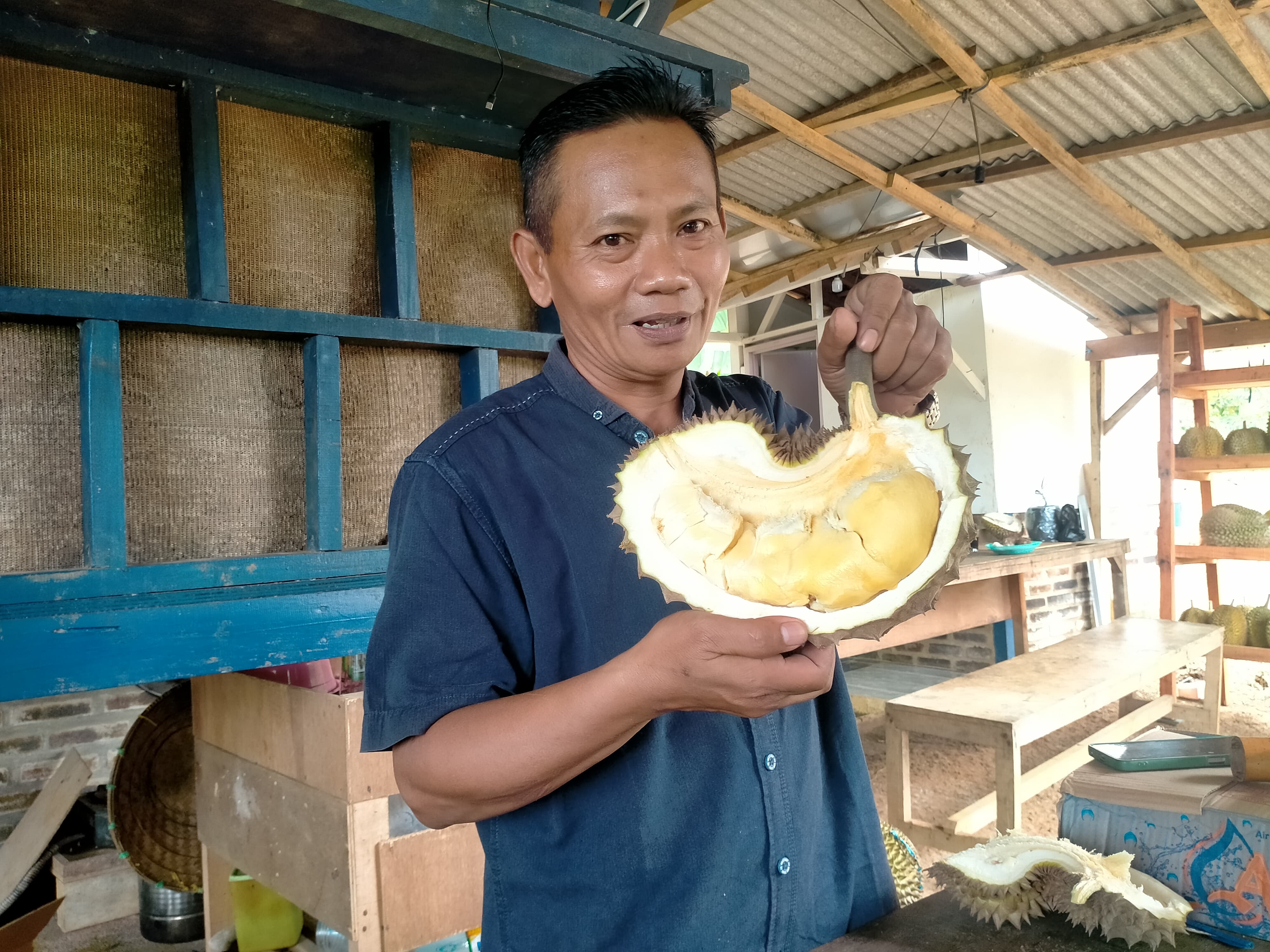LAYAK DICOBA: Kepala Desa Saronto menunjukkan durian lokal Rogoselo, Kecamatan Doro, Kabupaten Pekalongan.