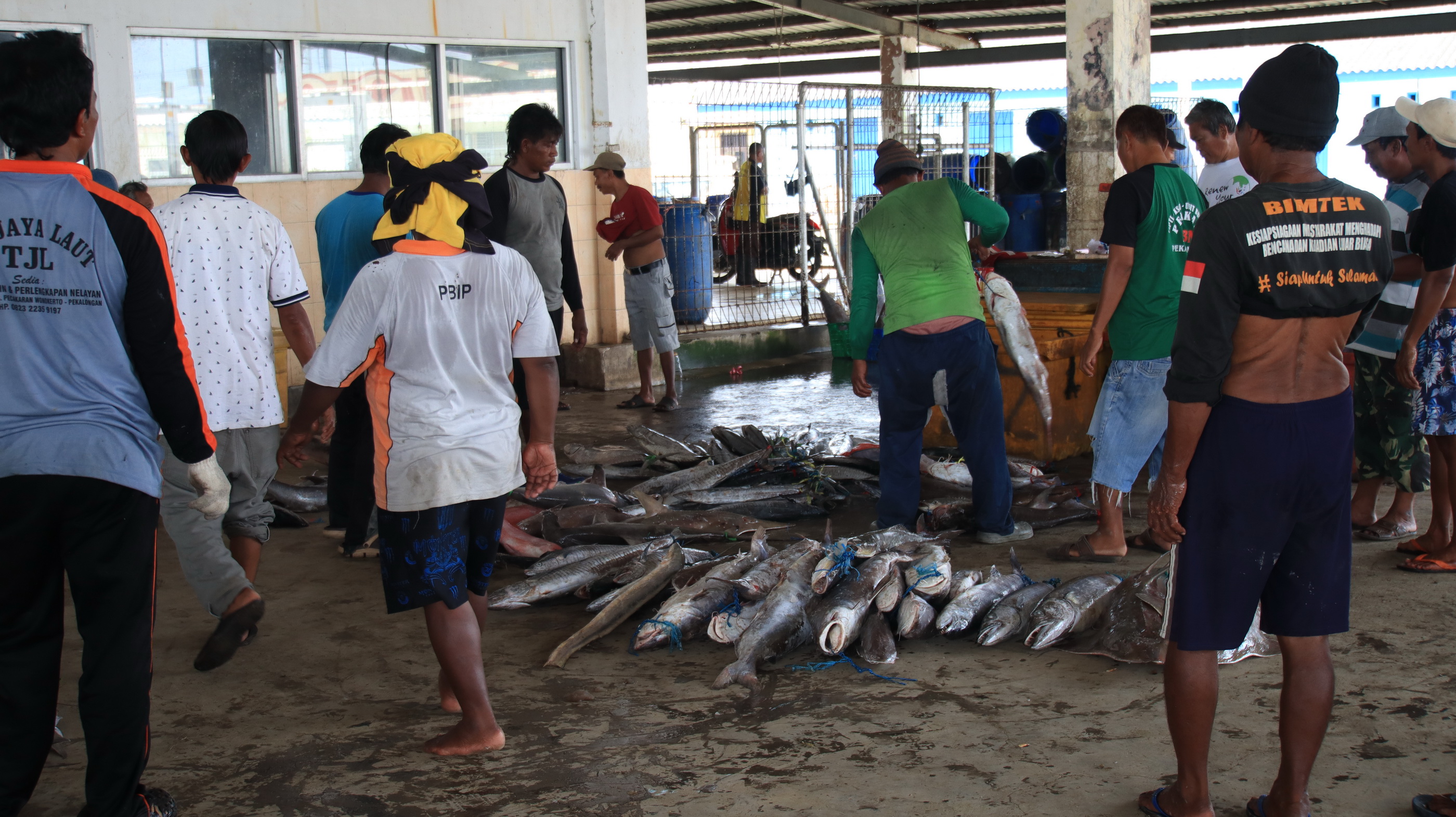 AKTIVITAS TPI - Nampak aktifitas&nbsp;bongkar ikan di TPI Kota Pekalongan&nbsp;Jl WR Supratman No 1A, Panjang Wetan&nbsp; Pekalongan Utara.
