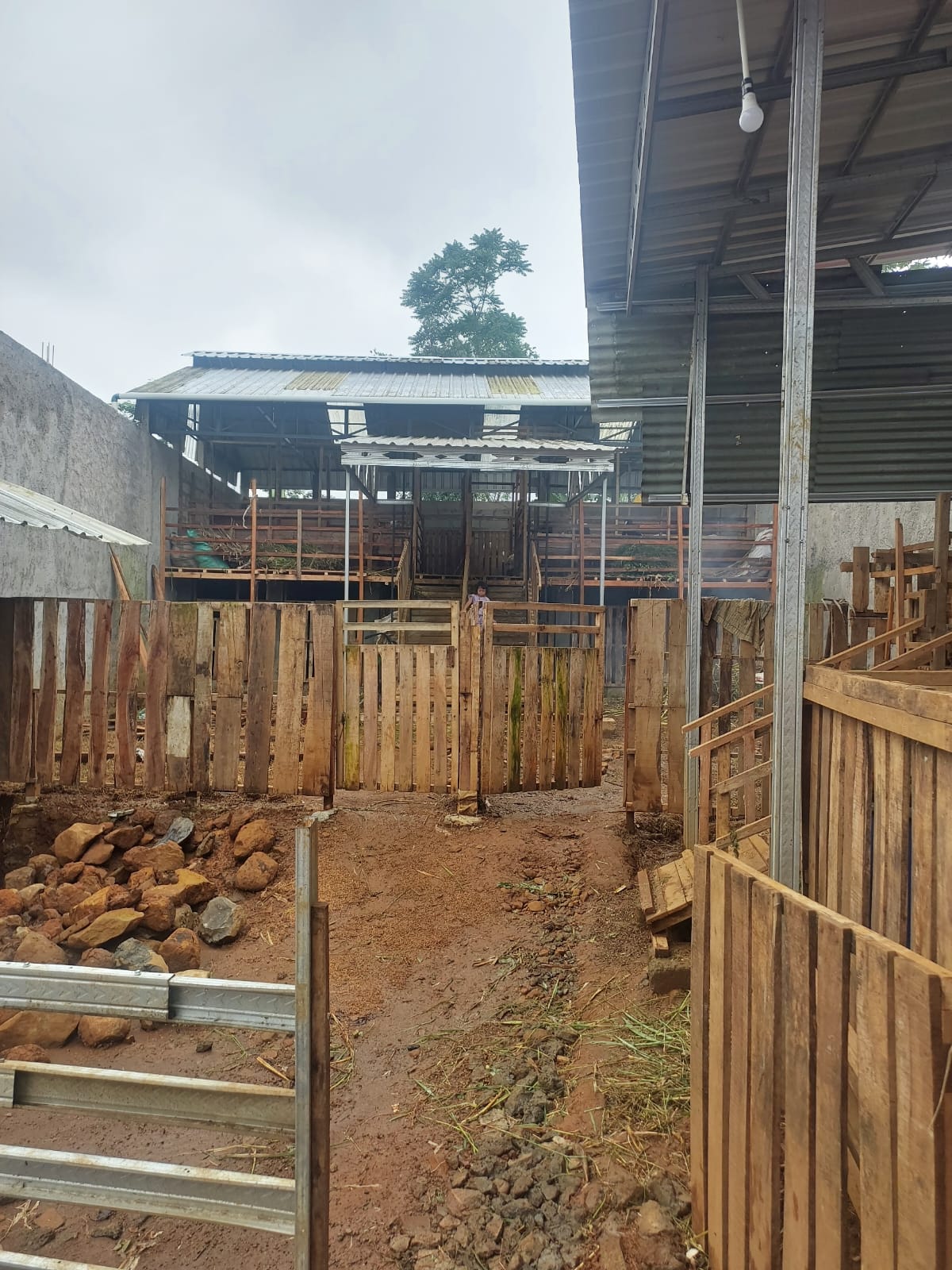 KESEHATAN: Kondisi kandang kambing di dekat lokasi dapur MBG yang telah dikosongkan.