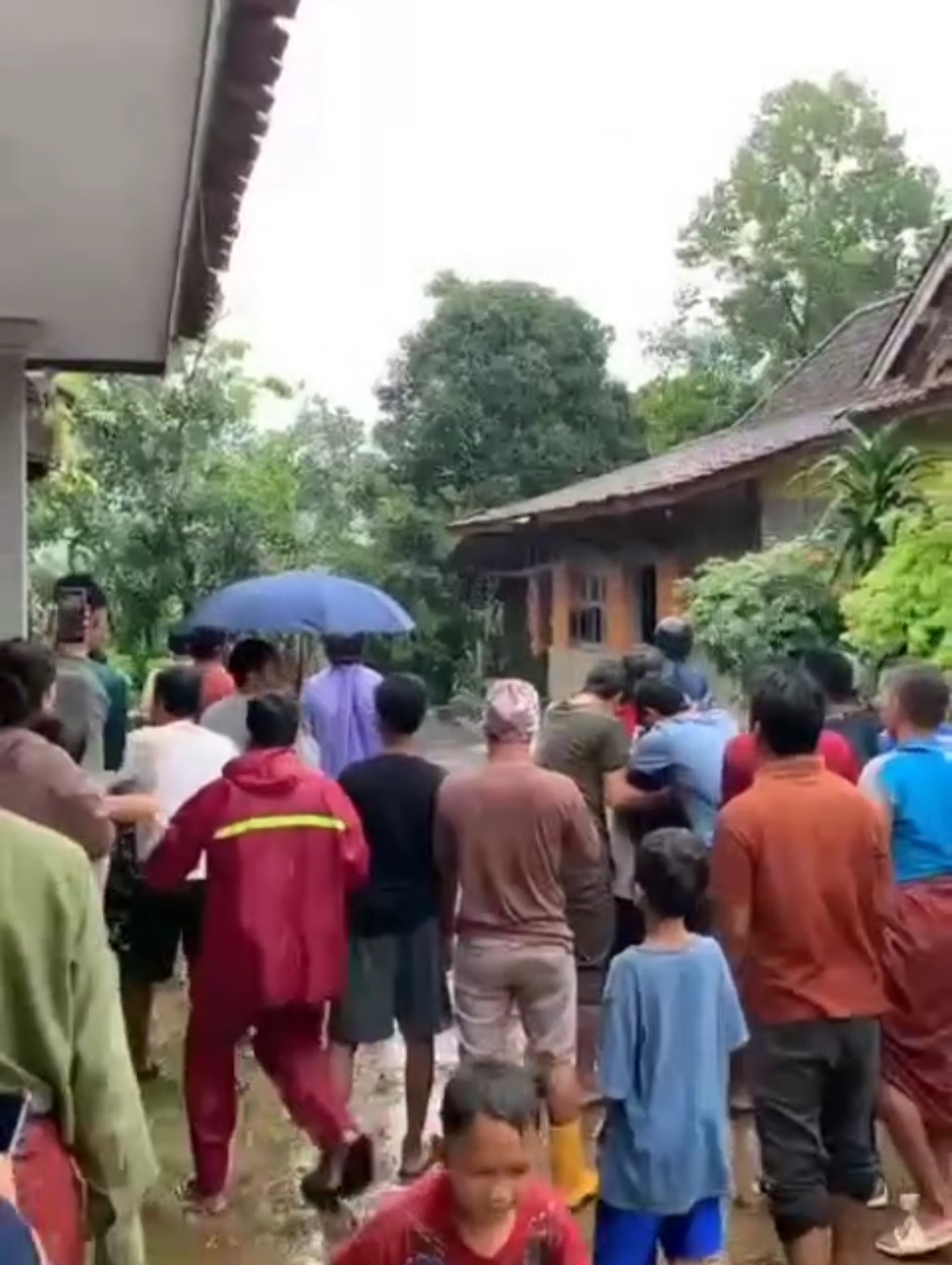 MENCEKAM: Tangkapan layar video kepanikan warga saat melihat pohon bergerak terbawa amblesan tanah di Desa Krompeng, Talun, Kabupaten Pekalongan.