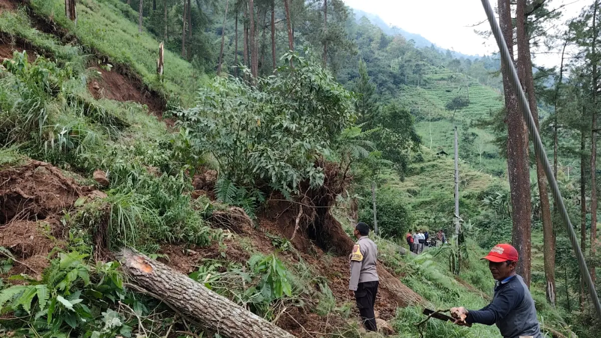 LONGSOR : Kondisi akses Songgodadi-Curug Muncar, Kecamatan Petungkriyono, Kabupaten Pekalongan, sebelum longsor dan pohon roboh dievakuasi. (DOK. PRIBADI)