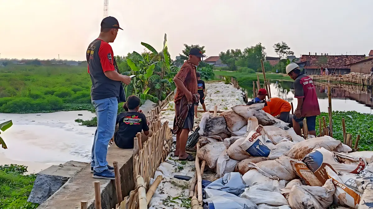 IST
KERJASAMA - Dibantu Warga, DPUPR Kota Pekalongan saat menambal tanggul jebol Kali Bremi di Pabean, dibantu warga, pada Minggu sore (10/5/2026).