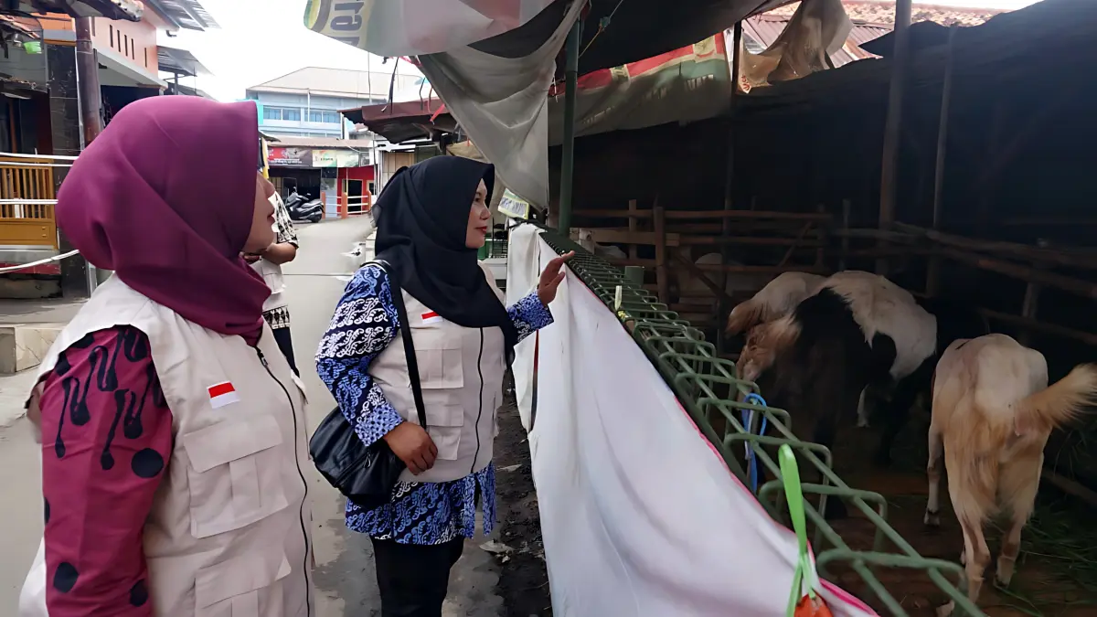 IST
PANTAU - Tim Dindagkop Kota Pekalongan saat pantau langsung salah satu tempat penjualan hewan kurban di Pesindon Kota Pekalongan.