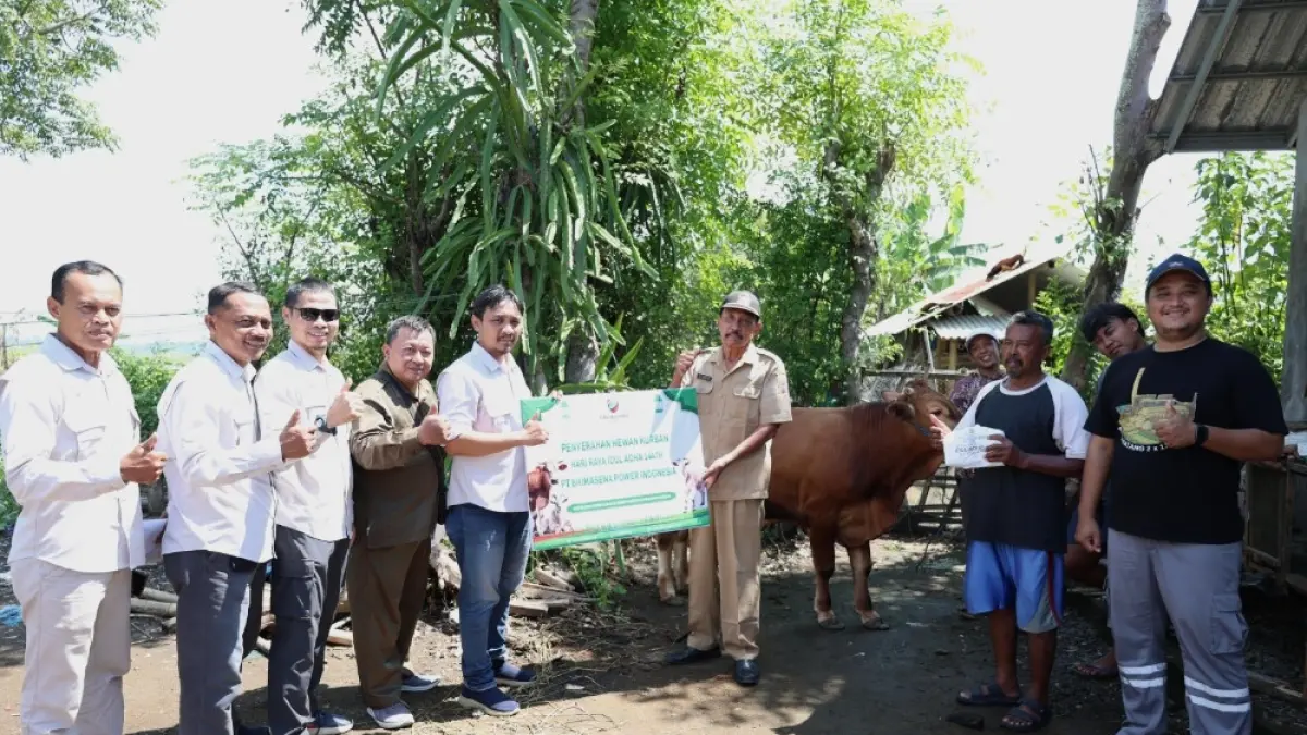 Penyaluran hewan kurban oleh PLTU Batang


