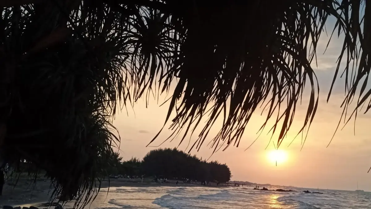 EKOSISTEM : Lokasi pandan duri yang kini banyak ditebang untuk pengembangan wisata.