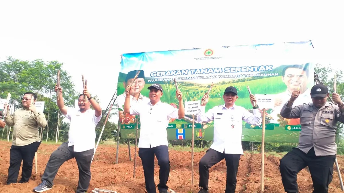 HILIRISASI: Penanaman tebu serentak di Desa Salit, Kecamatan Kajen, Kabupaten Pekalongan, dalam program Hilirisasi Perkebunan, Rabu (3/6/2026). 