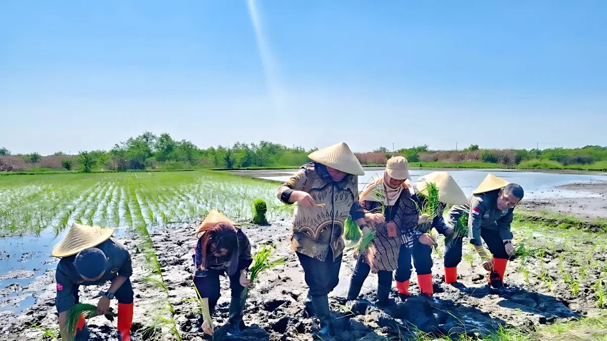 IST
TANAM - Tim Diperpa dan BPN saat tanam perdana di Bio Salin di di Kampung Reforma Agraria Clumprit, Kelurahan Degayu, Kecamatan Pekalongan Utara.