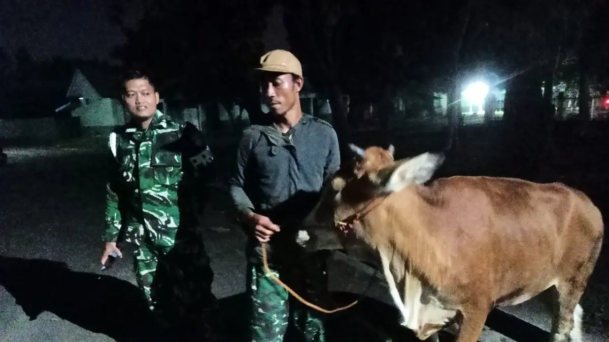 SALURKAN HEWAN KURBAN : Rais ‘Am PB JATMA ASWAJA, Maulana Habib Luthfi bin Yahya menyalurkan 80 ekor sapi kurban di sejumlah titik di Pekalongan, Cirebon, Yogyakarta, hingga Lombok.