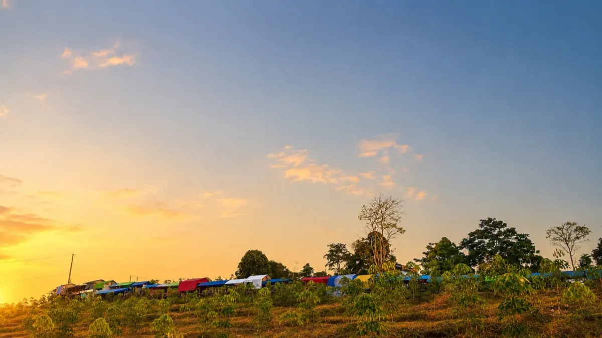 DESTINASI WISATA ALAM : Panorama Bukit Bintang di kawasan Desa Linggo, Kecamatan Kajen, Kabupaten Pekalongan, sangat memanjakan setiap mata yang memandang. (MAULIDA USNA AULIA/JAWA POS METRO PEKALONGAN)