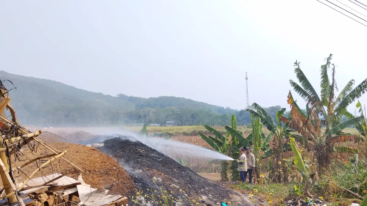 KEBAKARAN: Petugas saat memadamkan area kenun tebu yang terbakar di Banyuputih.