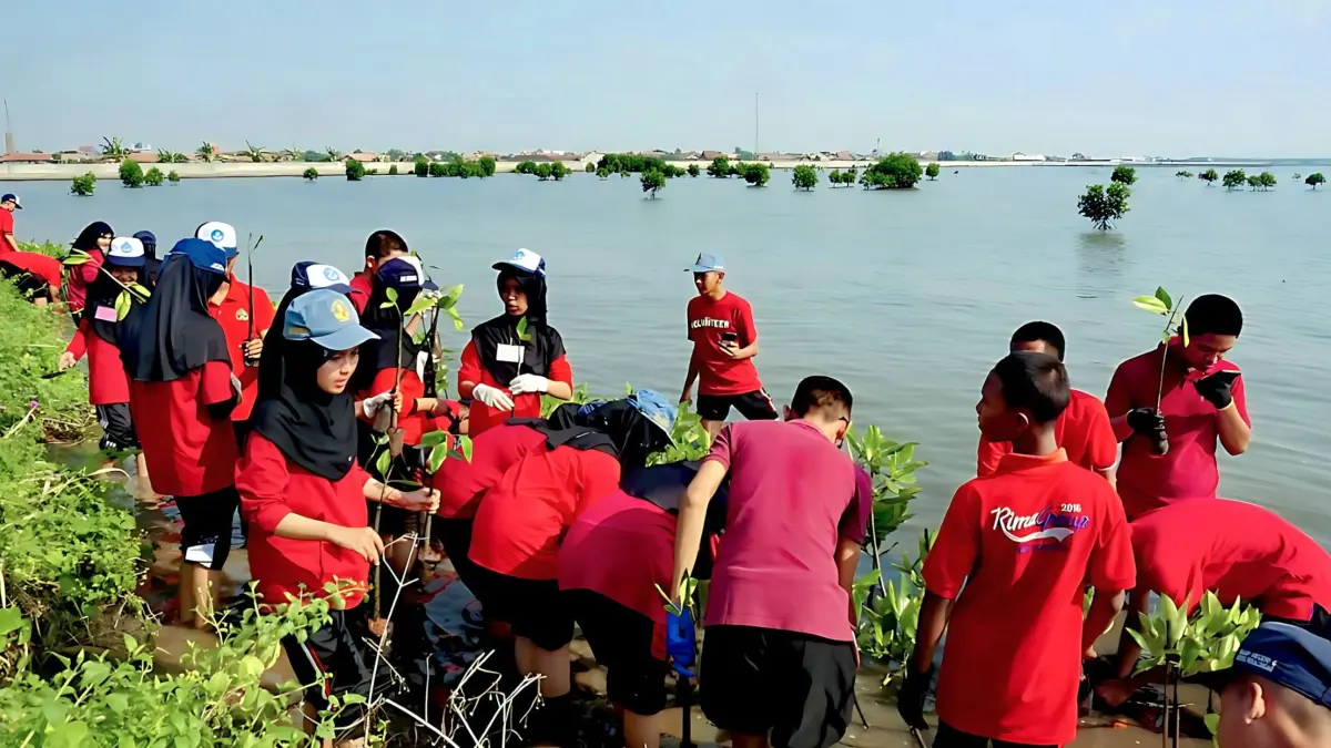 TANAM BIBIT MANGROVE : Siswa baru bersama para guru menanam 1.000 bibit mangrove di kawasan Kelompok Tani Hutan (KTH) Rimba Klidungan, Kelurahan Degayu, Kecamatan Pekalongan Utara, Jumat (17/7/2026).(ist)