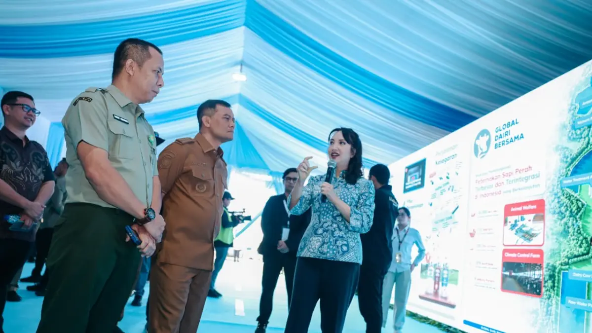 Sebuah peternakan sapi perah terpadu berskala besar dengan kapasitas mencapai 30 ribu ekor mulai dibangun di Desa Karangbale, Kecamatan Larangan, Kabupaten Brebes, Jawa Tengah.  (IST)