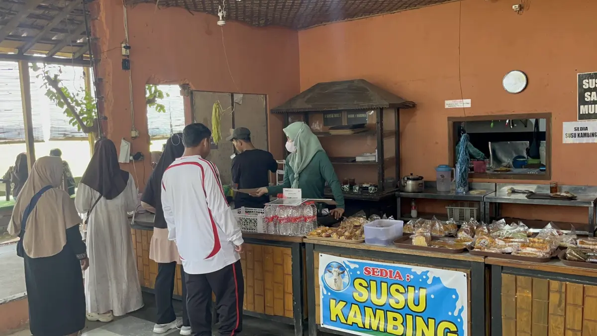 WISATA EDUKASI : Kandang Sapi (Kansa) Sari Indah di Kelurahan Yosorejo, Kecamatan Pekalongan Selatan, Kota Pekalongan, menjadi destinasi wisata edukasi untuk anak sekolah. (MOCH. FALAHUDDIN/JAWA POS METRO PEKALONGAN)
