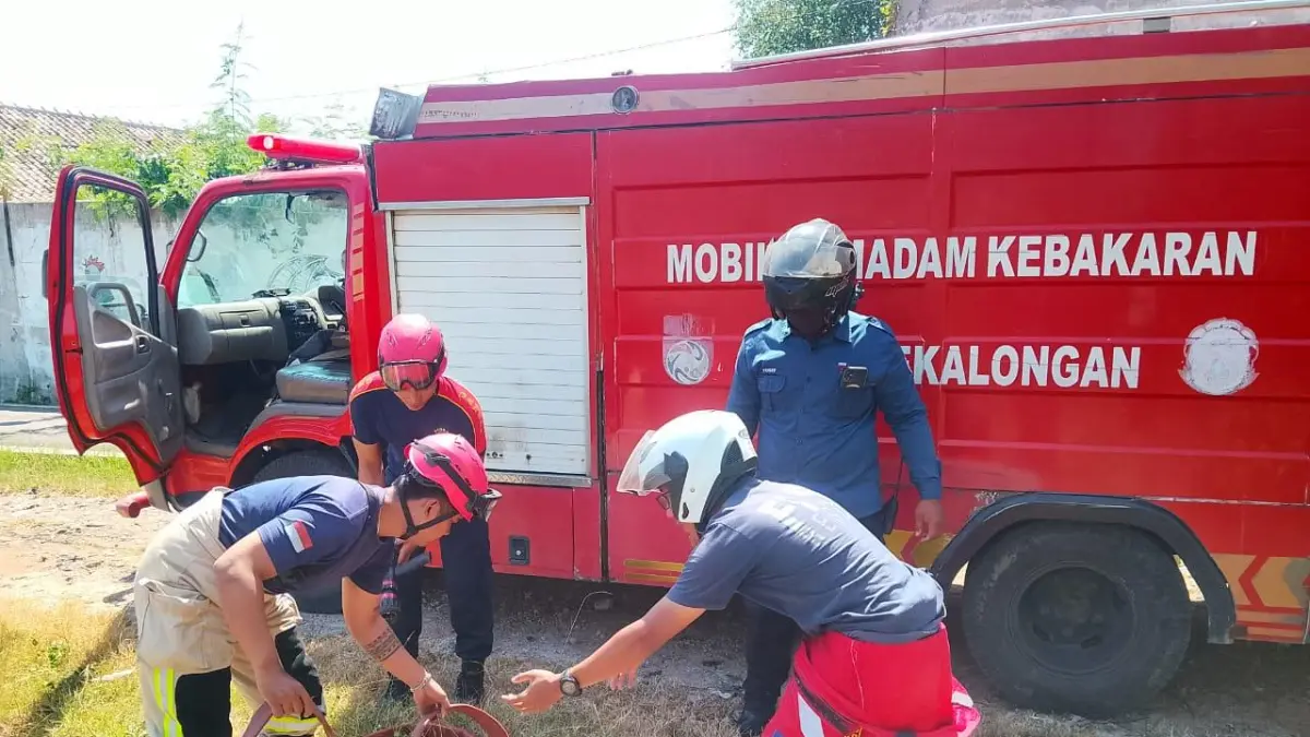 PADAMKAN :   Damkarmat Kota Pekalongan saat memadamkan kebakaran lahan kosong di kawasan sekitar Patung Kapal, Kelurahan Panjang Wetan, Rabu (22/7/2026) kemarin.(IST)