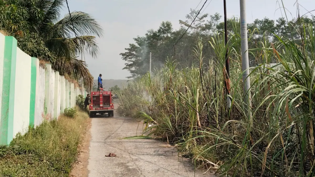 PADAMKAN : Damkar Batang saat memadamkan api di lahan tebu siap panen di Samping SMN 1 Gringsing di Dukuh Karanganyar, Desa Lebo, Kecamatan Gringsing, Batang, memicu kepanikan warga, Senin (3/8/2026) siang. (Lutfi Hanafi/Jawa Pos Metro Pekalongan)