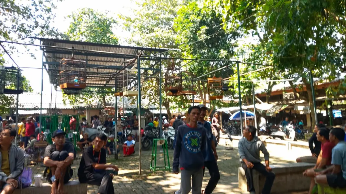 HARGA TERJANGKAU : Pasar Senggol di Kelurahan Kuripan, Kecamatan Pekalongan Selatan, khusus  menjajakan beragam barang bekas, ikan hias, unggas, hingga aneka satwa peliharaan dengan harga terjangkau. (MOCH. FALAHUDDIN/JAWA POS METRO PEKALONGAN) 